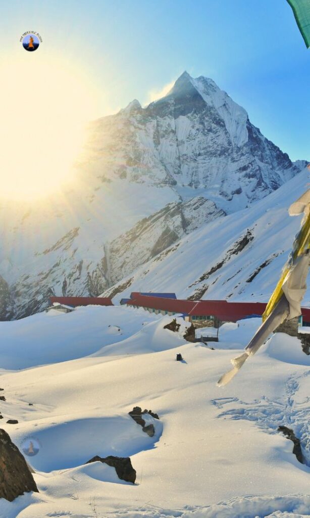 annapurna base camp trek trekking buddha History of mt machupucchare the trekiing buddha mistry of fishtaailbeginners itenary chepest cost of annapurna abse camp the trekking buddhha nepal trek package