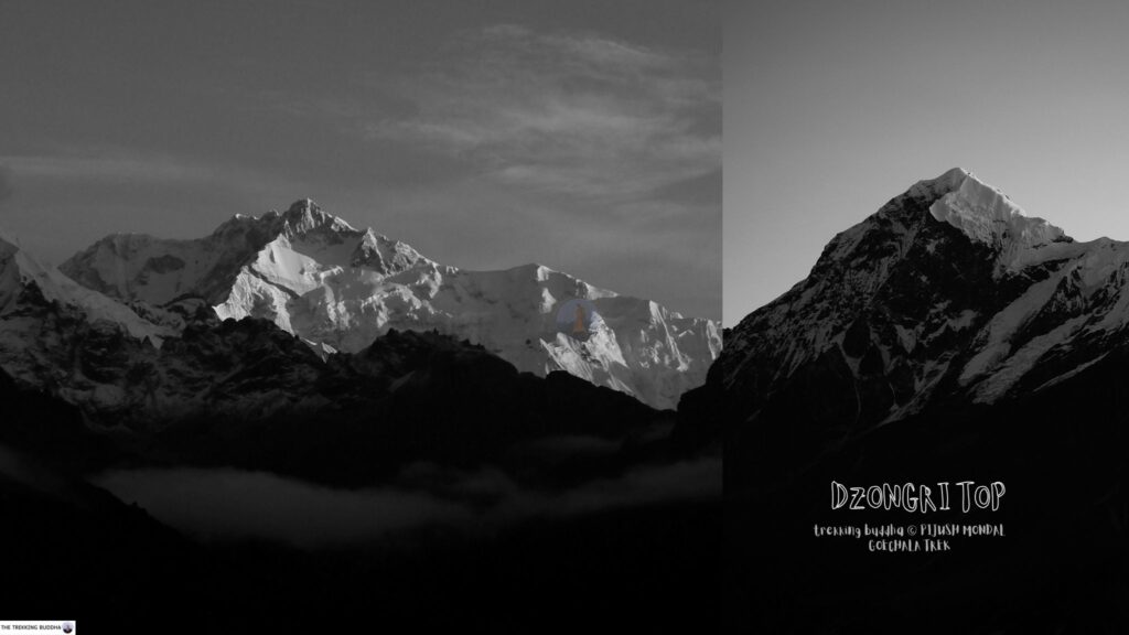 DZONGRI-TOP-VIEW-GOECHALA-TREK-PACKAGE-SIKKKIM-BEST-TREK-TREKKING-BUDDHA-1