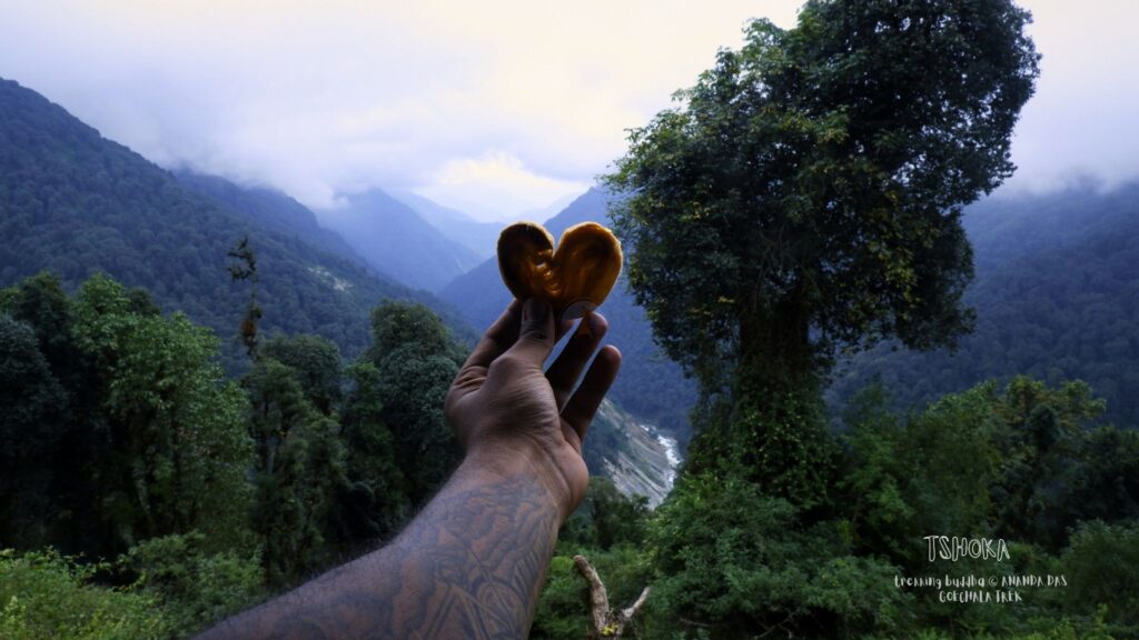 TSHOKA-TREKKING-BUDDHA-sikkkim-treks
